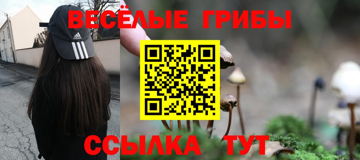 Семилуки  Псилоцибиновые грибы прущие грибы  Вход с VPN 